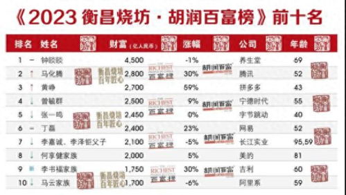 中国首富月收入高达20亿：年度财富增长超50倍！