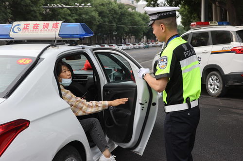 紧锣密鼓：直击高考最后一天，家长们精心准备陪考，为孩子们加油打气