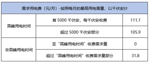 洞察未来：市场对本次调整的可能应对策略进行深度分析与预测