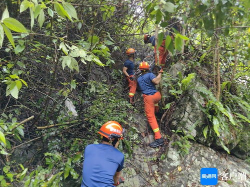 25人徒步海南吊罗山一人坠亡：搜救行动展开，生命接力救援进行中