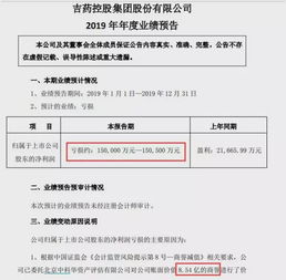 吉药集团有限公司: 主要子公司亏损严重，净资产降至负数