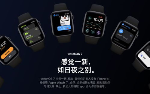 全新iPhone WatchOS 11正式发布，训练负荷功能让你更科学地管理健身计划