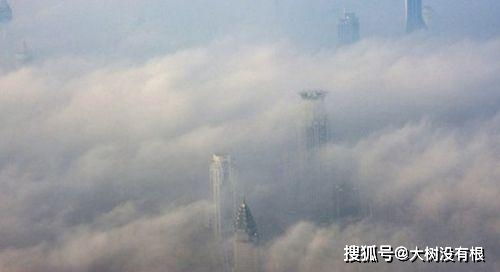 微距观察：太空中的地球与潍坊温室大棚的视觉对比，带你探索科技与自然的奇妙交汇