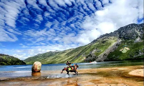 端午期间国内旅游热度攀升，本地周边游占据七成；阿勒泰民宿预订情况已超预期

或者：

端午假期国内游升温，本地周边游占比超七成，阿勒泰民宿预订趋势良好