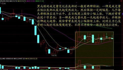 核心管理人员第六次大手笔买入！永泰能源股价走势或将迎来转折点？