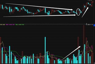 黄金反弹或谷底：一个值得关注的时机与风险因素分析