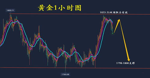 黄金反弹或谷底：一个值得关注的时机与风险因素分析