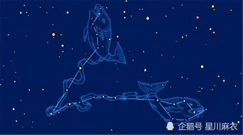 双鱼座星运详解：6月10日-6月16日周运解析