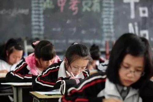 网传大S对学生教育不力：究竟她在学校里做什么?