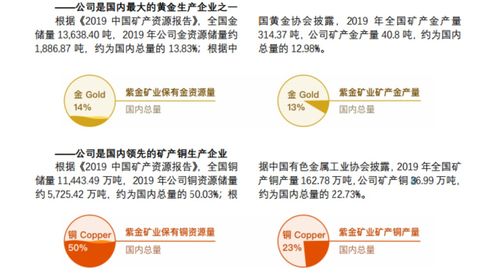 紫金矿业海外收购案进展不顺，或超200亿短期债务压顶