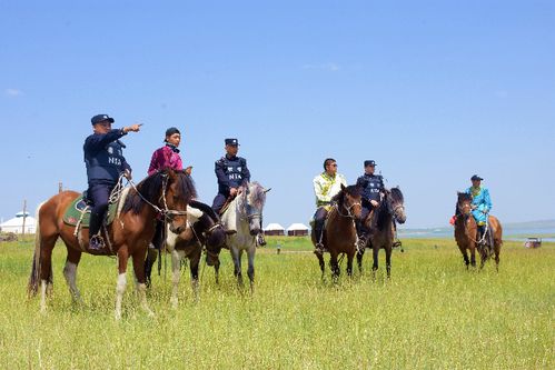 内蒙古牧民钢宝力达：跨界之舞，传递爱心与使命——国家的孩子跨越代际，接力续写民族传奇

跨界之路·家国情怀—‘国家的孩子’承载深情的书写