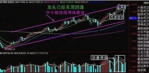 【100万投资人的噩梦】亿万巨头再现狂泻，股价一夜蒸发近半万亿