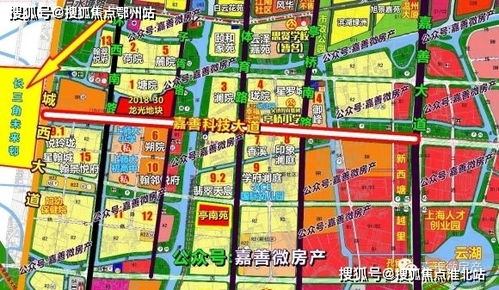 同济大学教授：探讨中国元宇宙产业的未来发展及已取得成果