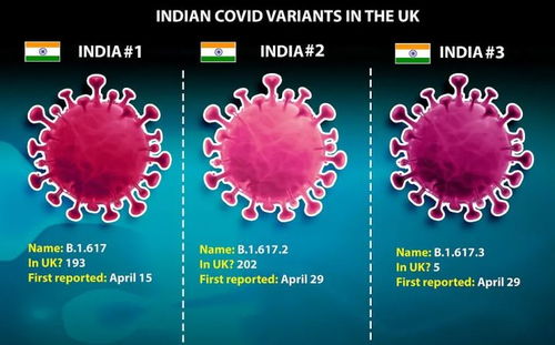 英国禁止使用中国摄像头，但2019年销量翻倍

英媒：中国市场摄像头销售激增，禁令导致销售额增长一倍