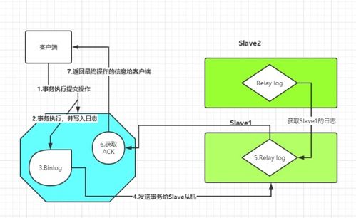 科特估与中特估：两个关键因素，如何复制成功路径?