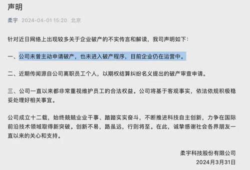 500亿破产清算：刘姝威与华为之间谁在撒谎？