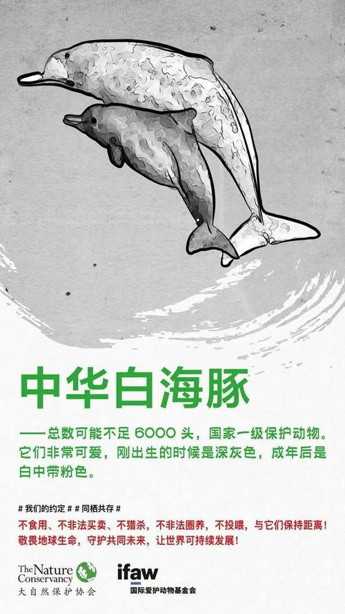 揭秘北海独特生物多样性：从红树林到中华白海豚，一网打尽！