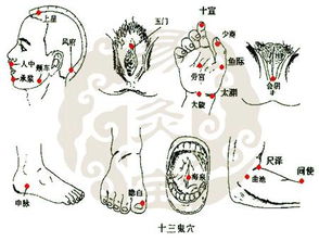 全方位提升《燕云十六声》奇术百鬼打穴技巧，轻松掌握萌新必学的武侠世界秘籍