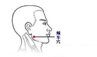 全方位提升《燕云十六声》奇术百鬼打穴技巧，轻松掌握萌新必学的武侠世界秘籍