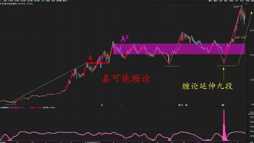 ‘二师兄’股价稳健上涨，未来趋势仍可期待