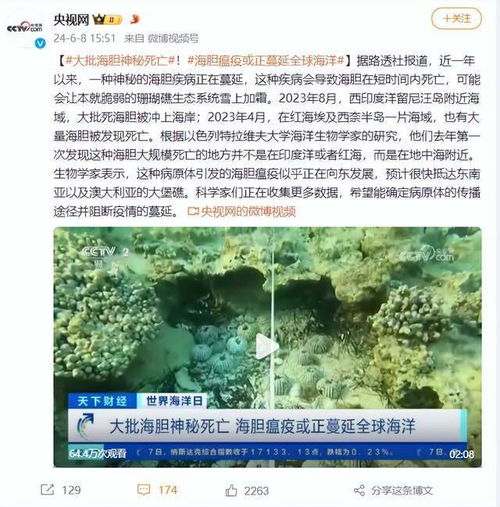 全球范围内出现大规模海胆死亡事件：是否为海胆瘟疫？专家呼吁立即采取行动应对