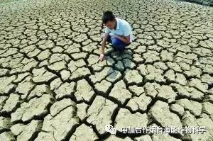 山东蒙阴县受干旱影响果农受损 民政部门：正在采取行动应对旱情