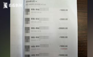 上海一95后出纳员被判刑：从公司账户给网络主播转账600万，原因曝光