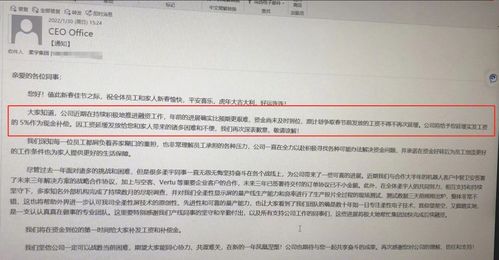 500亿独角兽破产清算：柔宇科技为何折戟？