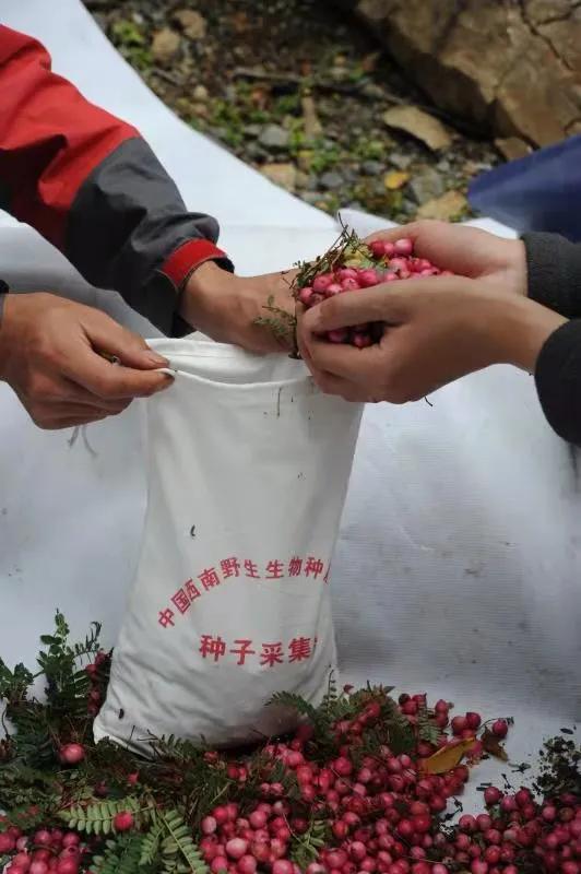 单杨院士详解：生物合成食品将重塑未来，为人们带来哪些改变？