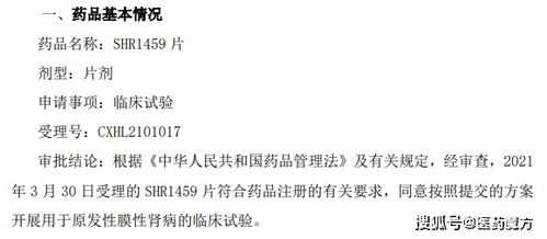 中国科学家揭示原发性膜性肾病的发病机制：新的理论突破与临床应用