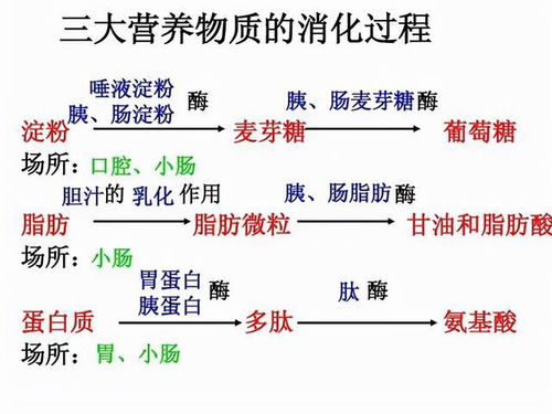 中国科学家揭示原发性膜性肾病的发病机制：新的理论突破与临床应用