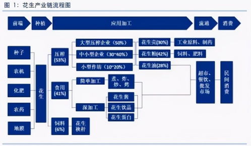 马道杰：芯片创新与全球5G产业链高质量发展前瞻