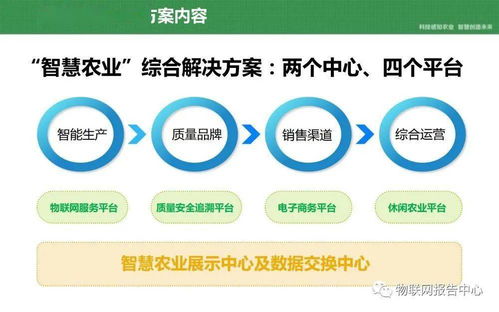 互联网‘失忆症’现象：我们的应对策略与解决方案