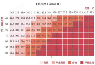 辨别湿度过重:六种体征与停止过多加湿的必要性