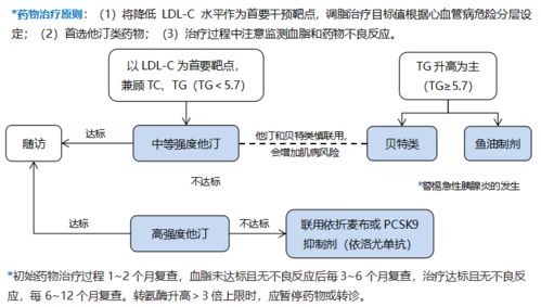 详细解析：他汀和贝特的联用方式与适用人群