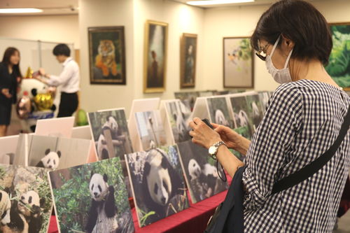 ‘香香’回国7岁生日，中外粉丝送祝福