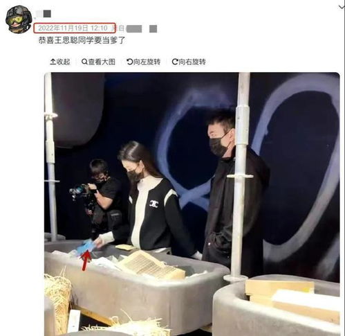 王思聪罕见公开生娃过程细节，透露全知信息：非私生子，无隐秘之事