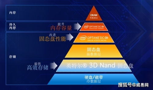 随着AI的全面升级与智能化，文科学子将成为未来数字化时代的‘最后幸存者’