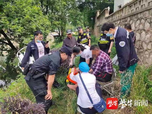 老太偷菜被判赔偿8万，情节严重被打骨折