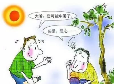 高温天气的防病指南：防止中暑与疾病同时侵袭