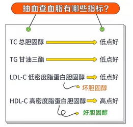 血脂控制：5步帮你从源头做起，血脂悄悄降下来