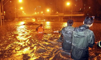 南方暴雨、北方高温城市，哪种城市能妥善应对水深火热的夏季挑战：南方暴雨与北方高温的城市应对策略