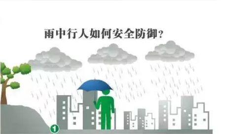 南方暴雨、北方高温城市，哪种城市能妥善应对水深火热的夏季挑战：南方暴雨与北方高温的城市应对策略