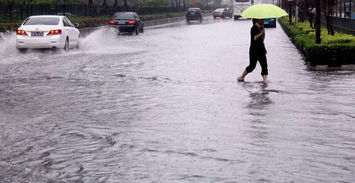 南方暴雨、北方高温城市，哪种城市能妥善应对水深火热的夏季挑战：南方暴雨与北方高温的城市应对策略