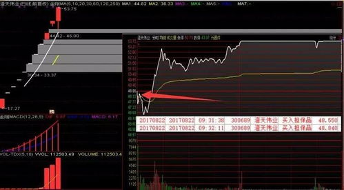 突发！科技创新次新股连续炸板，网红概念短线爆发 | 数据解读：两股20cm涨停的背后