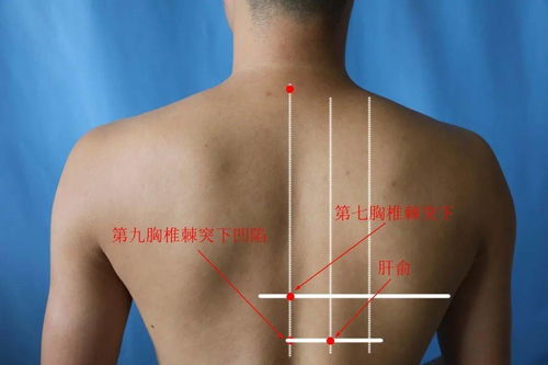 黄金多头顽强守护生命线：联储放鹰也无法撼动的决心与行动