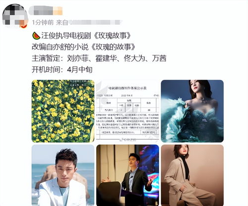 ‘玫瑰的故事’：黄亦玫的命运转折与网络资料中的巧妙暗喻