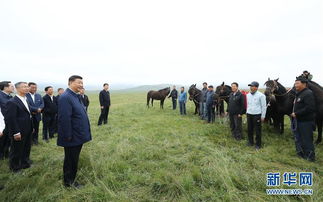 总书记考察过的这些学校：见证山海情深，启迪教育精神