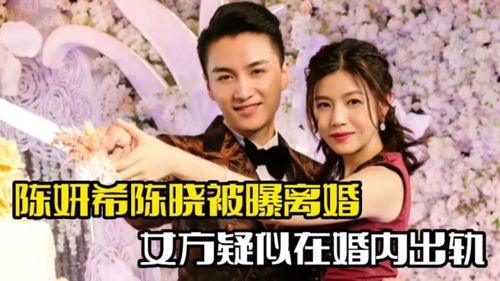 陈晓再传婚变？女方主动揭露真相：是否还有可能复合？