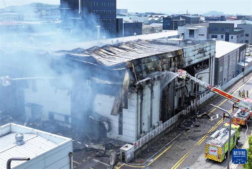 韩国锂电池厂火灾事故：19名中国公民死亡，引发全球关注
韩国火灾频发？国内知名锂电池厂遭特大火灾，已造成19人丧生